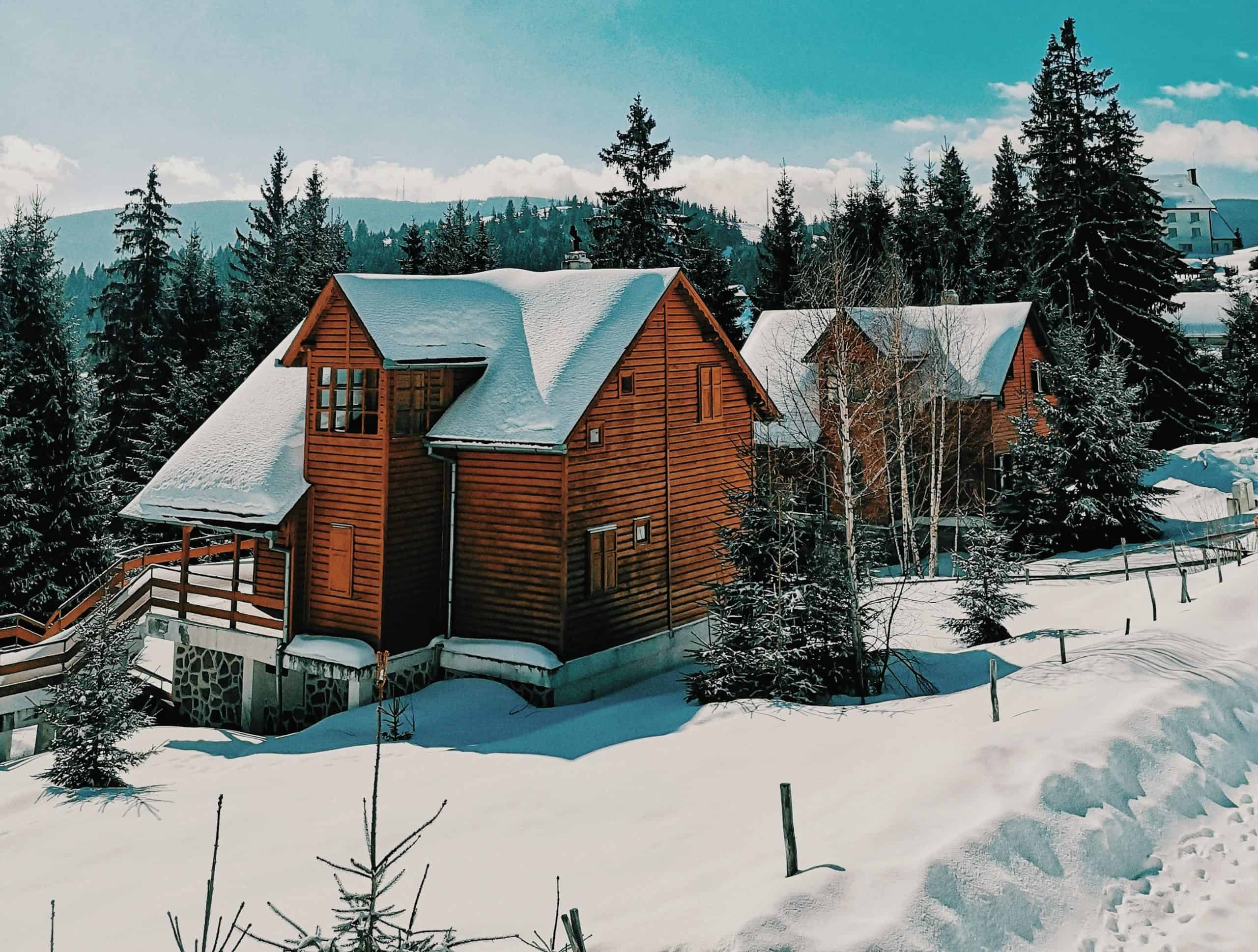 Winter scene