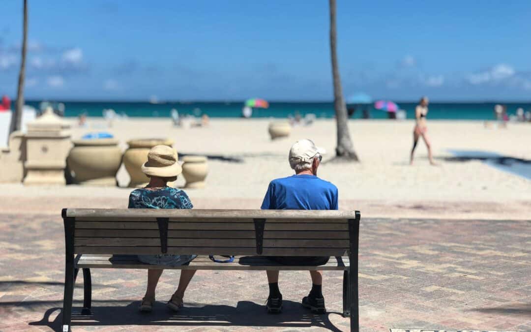 The 2023 French pension reform